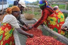 Burundi Award-Winning Estate Coffee - Organic! - Smoky Mountain Fresh Roast Coffee