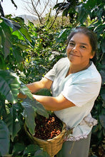 Nicaragua Award-Winning Single Estate Coffee - Smoky Mountain Fresh Roast Coffee